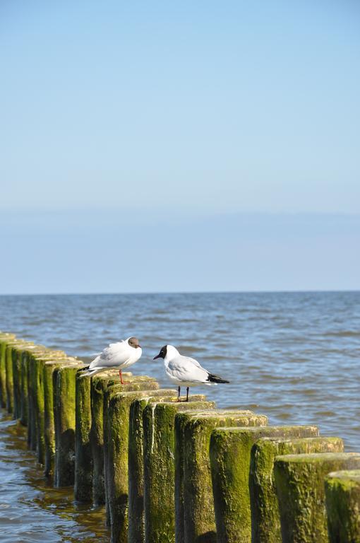 Seetelhotel Nautic Usedom Hotel & Spa Koserow ภายนอก รูปภาพ